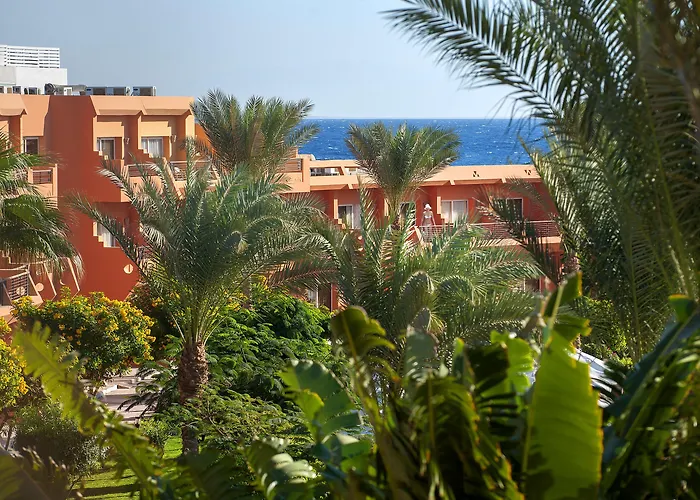 Resort Amwaj Oyoun 4*